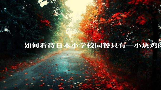 如何看待日本小学校园餐只有一小块鸡肉？